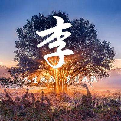 猫之城测试版下载
